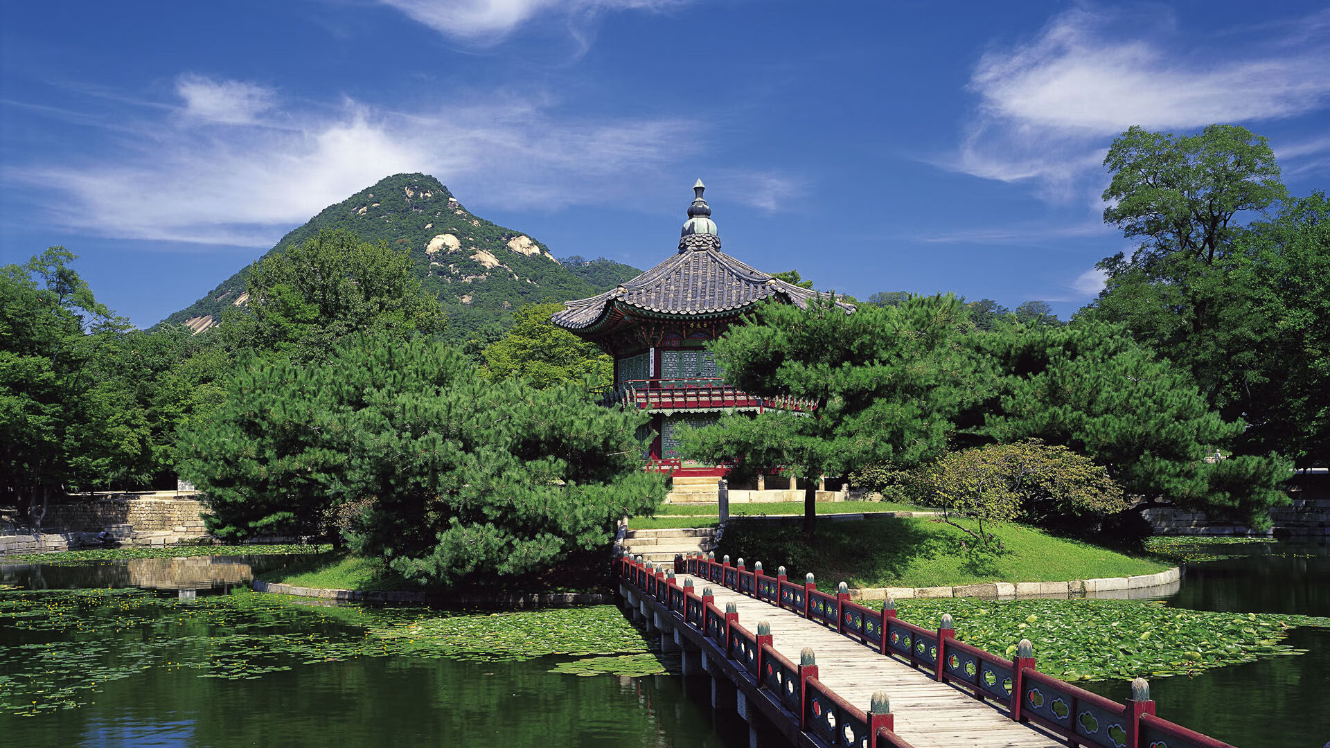 世界体能训练师国际认证：多国认可提升从业者竞争力，国际体能三大认证